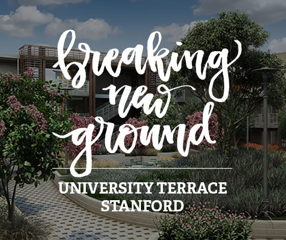 Breaking New Ground In Web Design: University Terrace, Stanford