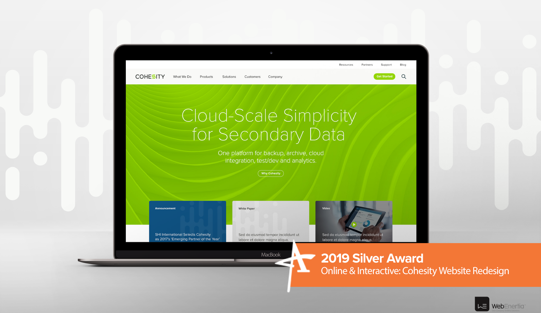 2019 Silver Addy Award - Online & Interactive: Cohesity Website Redesign