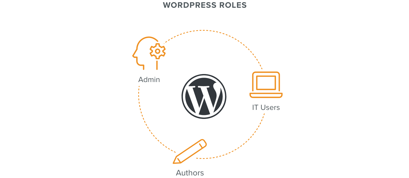 admin, user, IT WordPress