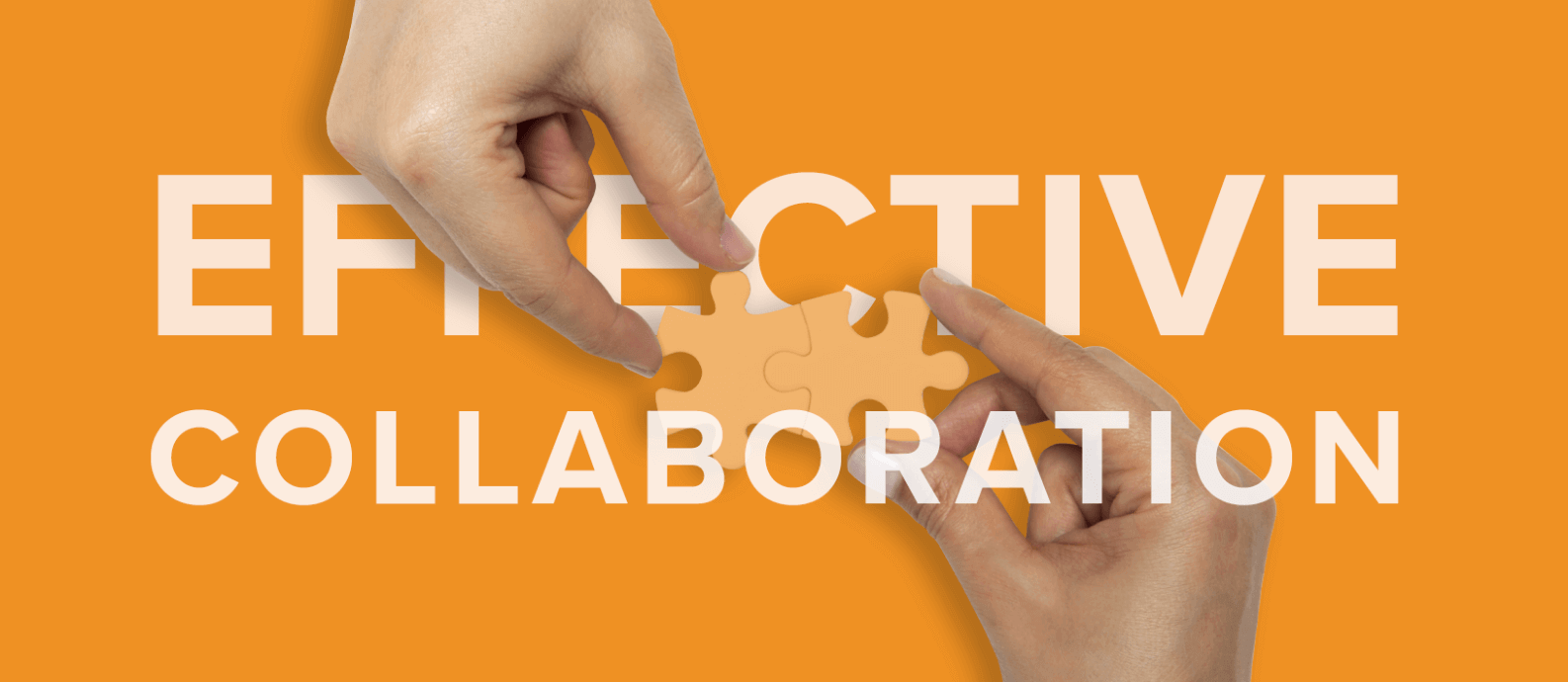 Effective collaboration with Your Web Design Agency